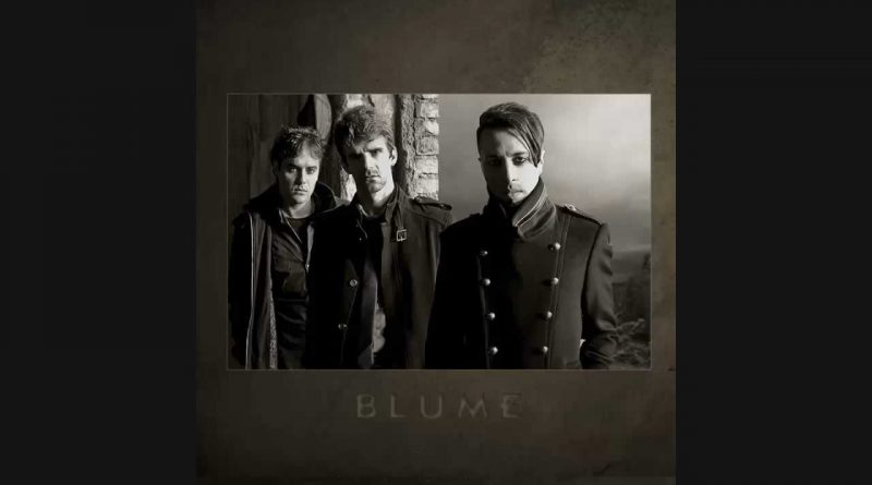 Blume - Der Einzige