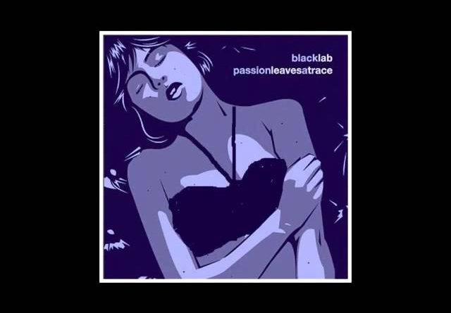 Black Lab - The Window