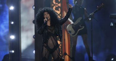 Cher - If I Could Turn Back Time