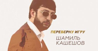 Шамиль Кашешов - Переверну игру
