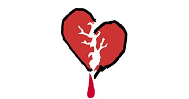 Boys Like Girls - Heart Heart Heartbreak