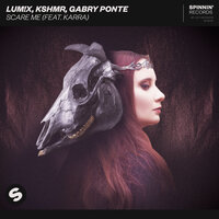 Gabry Ponte, KSHMR, LUM!X, KARRA