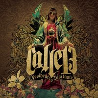 Calle 13 - Algo con sentido