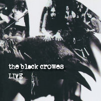 The Black Crowes - Twice As Hard