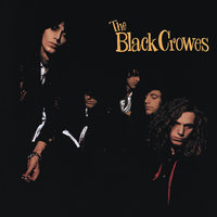 The Black Crowes - Stare It Cold