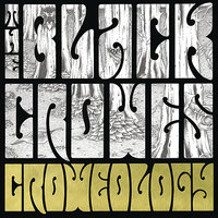 The Black Crowes - Thorn in My Pride