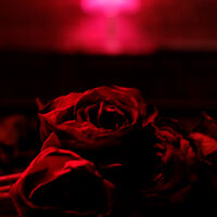 The Paper Kites, Rosie Carney - By My Side