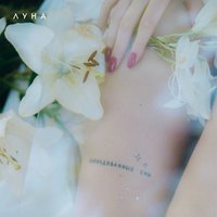 Luna - Ночь