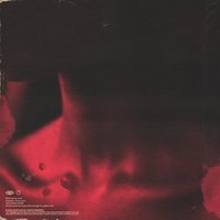 LA LE - В моей крови