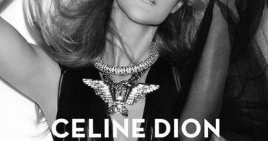 Celine Dion - Water And A Flame