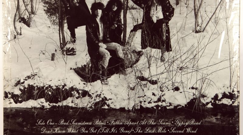 Cinderella - Long Cold Winter