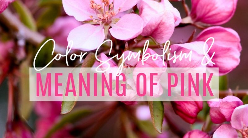 Pink - Mean