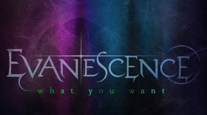 Evanescence - What You Want