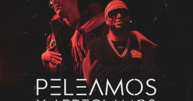 Lyanno, Randy - Peleamos y Arreglamos