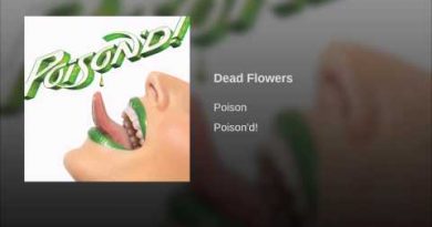Poison - Suffragette City