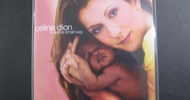 Celine Dion - In Some Small Way