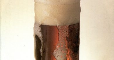Die Toten Hosen - The Drink