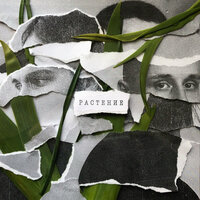 Последствие, Бакей - Растение