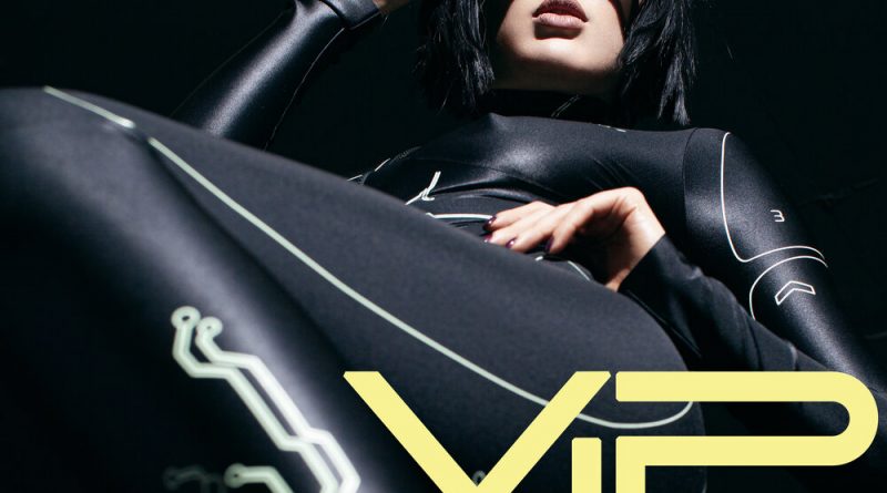SHLAKOBLOCHINA - VIP