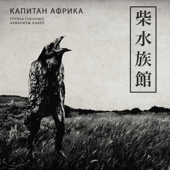 Аквариум - Капитан Африка