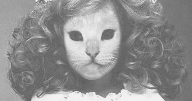 Mr.Kitty - Pathogen