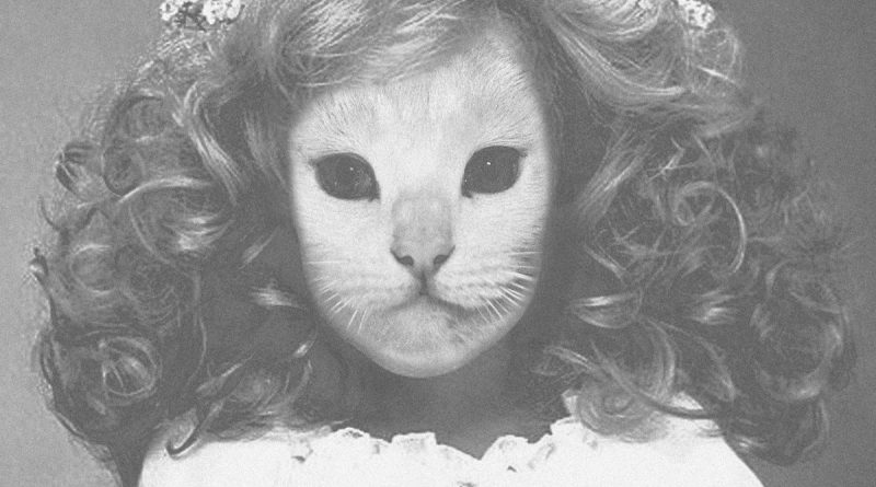 Mr.Kitty - Pathogen