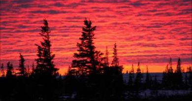Agalloch – She Painted Fire Across the Skyline, Pt. 1