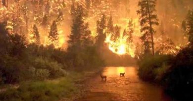 Agalloch - Our Fortress is Burning I