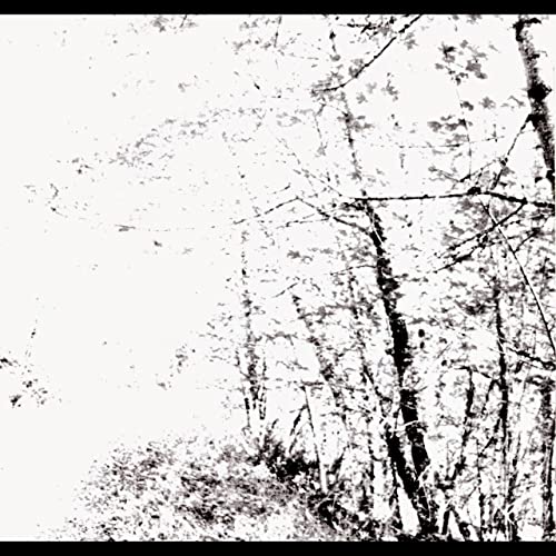 Agalloch - Sowilo Rune