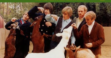 The Beach Boys – Wouldn't It Be Nice