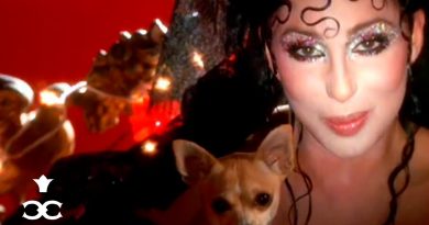 Cher - Dov'e L'Amore