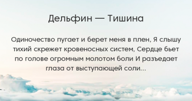 Дельфин - Тишина