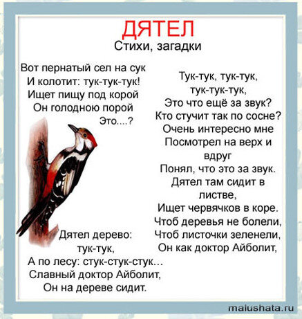 Тайм-Аут — Стих про дятла