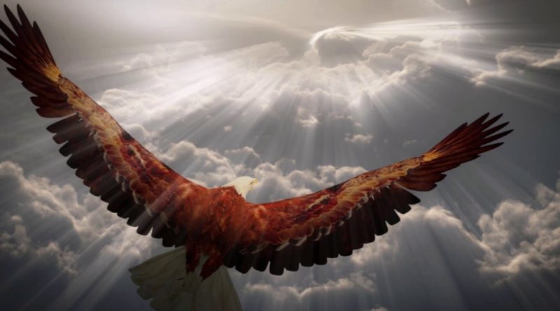 Gotthard - Eagle