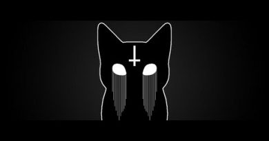 Mr.Kitty - Insects
