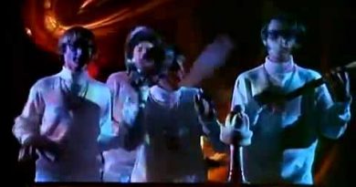 The Monkees - Star Collector