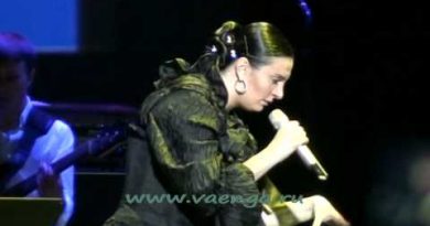 Елена Ваенга — Шут