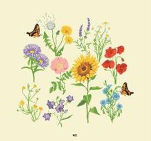 Gnash - p.s.