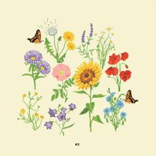 Gnash - p.s.