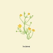 Gnash - insane
