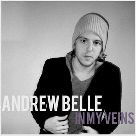 Andrew Belle - In My Veins