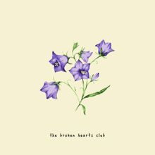 Gnash - the broken hearts club