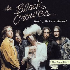 The Black Crowes - No Use Lying