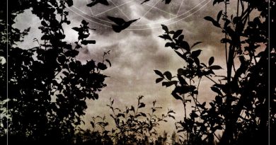 Insomnium - Weather The Storm