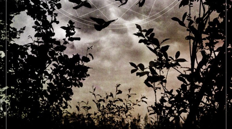 Insomnium - Weather The Storm