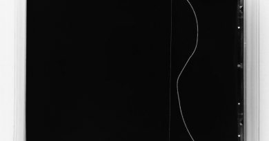 Nicolas Jaar – Faith Made of Silk