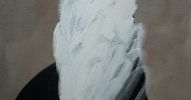 РИЧ, 25/17 - Родео