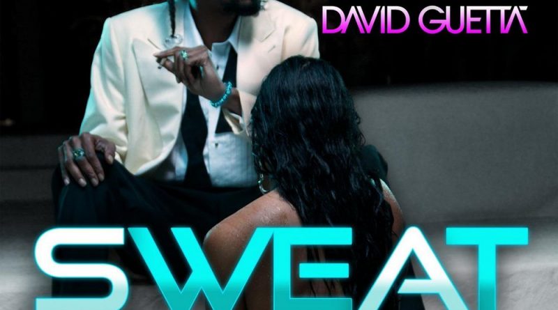 Snoop Dogg - Sweat