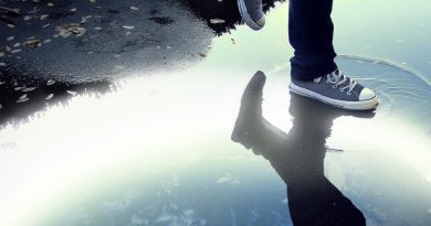 Breakdown Of Sanity - The Chosen Ones