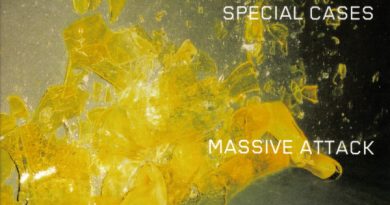 Massive Attack - Special Cases